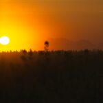 Sonnenaufgang im Rapsfeld