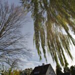 Himmelsblick Nov 25